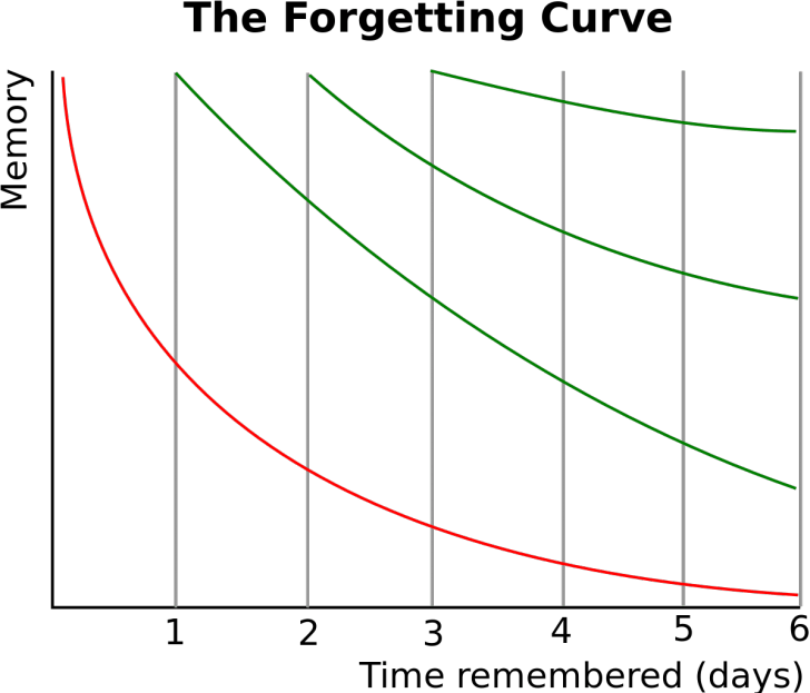 The forgetting curve graph