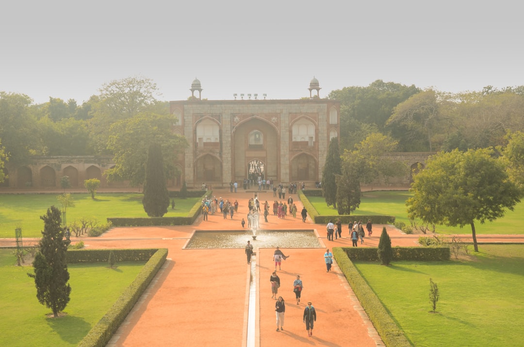 a group of people walking around a lush green park