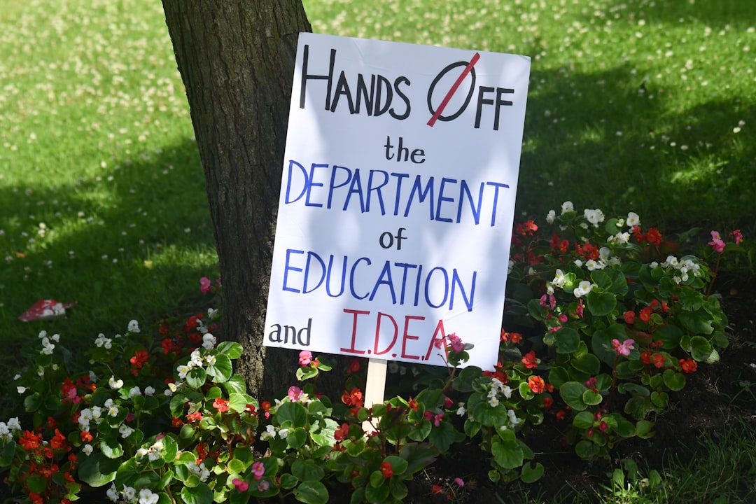 Protest Sign (No Kings)