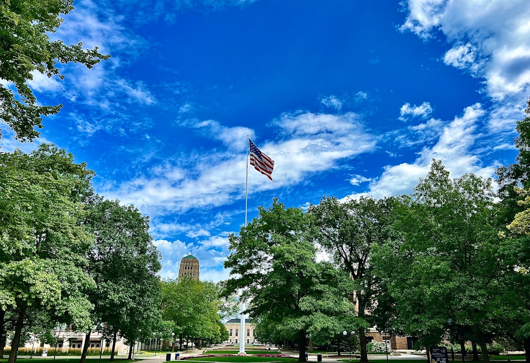 an american flag flying in the sky over a park